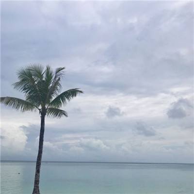 暗黑战争官方版下载