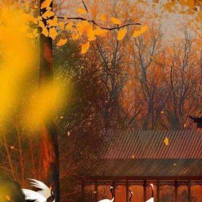 逗三国应用宝版下载